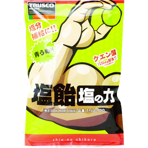 【TRUSCO】ＴＲＵＳＣＯ　【※軽税】塩飴　塩の力　１００ｇ袋入　青梅味　（１袋入）